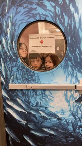 Isatruc's tweet card. L'Aquarium du Québec a créé avec l'outil MySmartJourney une quête interactive ludique et éducative dans le cadre de son nouvel Aqua Lab', un laboratoire scientifique et innovant, destiné aux groupes...