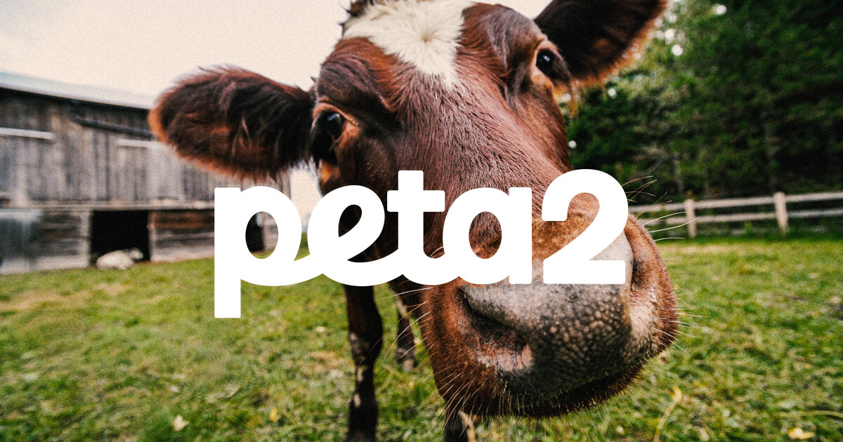 pyro_moth's tweet card. Lead by example and with compassion for all—get the latest ways to help animals with peta2.