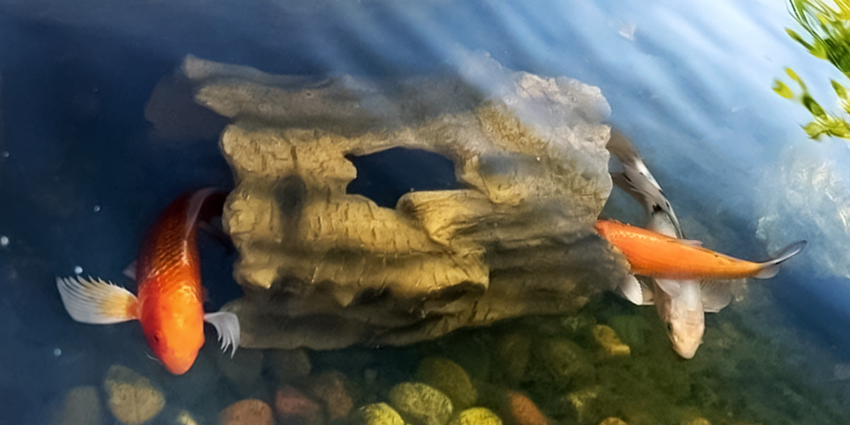 sanadropwc's tweet card. Learn about the different types of hiding spots for fish in a pond, why they're important for fish health, and how to create them. Consider fish and pond size, water depth, and clarity for maximum...