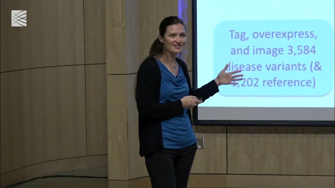 DrAnneCarpenter's tweet card. Disease Phenotypes and Candidate Therapeutics: Cell Painting; Anne...