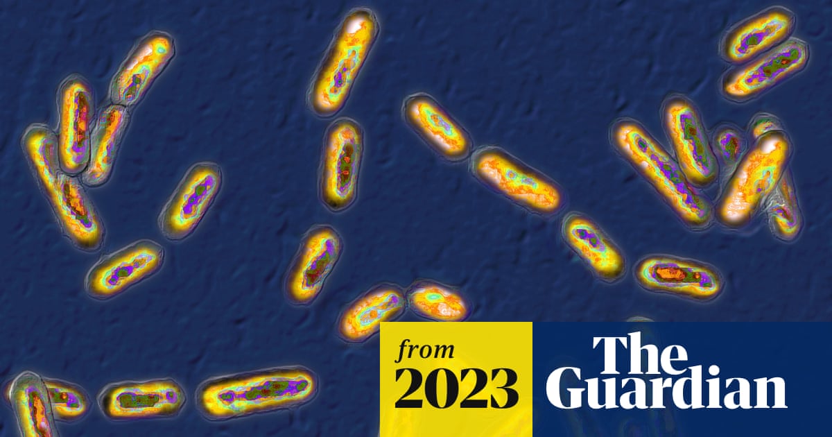 thebotmechanic's tweet card. Following government guidance by using disinfectant to tackle C diff bacteria proved ineffective in experiments