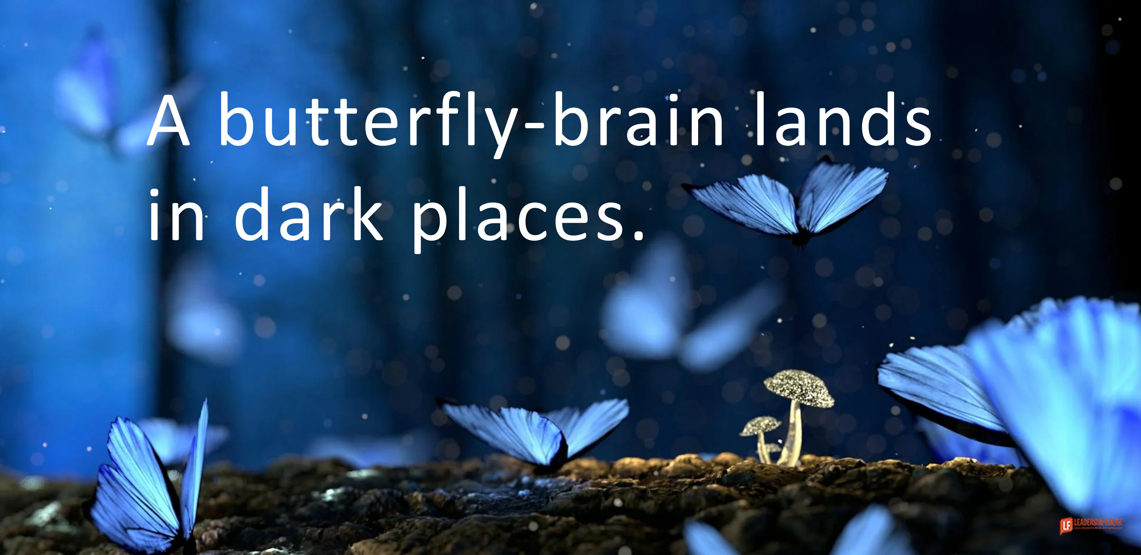 BGRicca's tweet card. Grip your butterfly-brain before breakfast. The worst thing you do in the morning is let your thoughts run free. A butterfly-brain lands in dark places. Butterflies aren’t leaders. Scattered people...