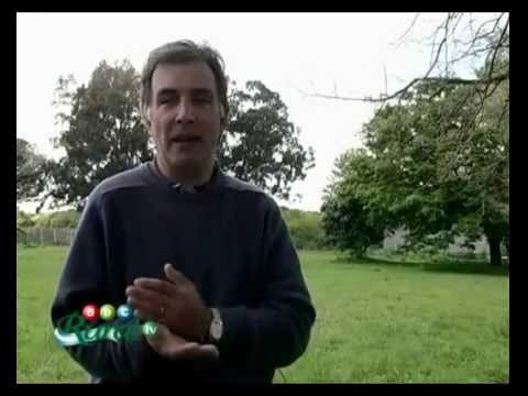 Labceresdemeter's tweet card. FUERTE DESPEGUE DE LOS PROMOTORES BIOLÓGICOS