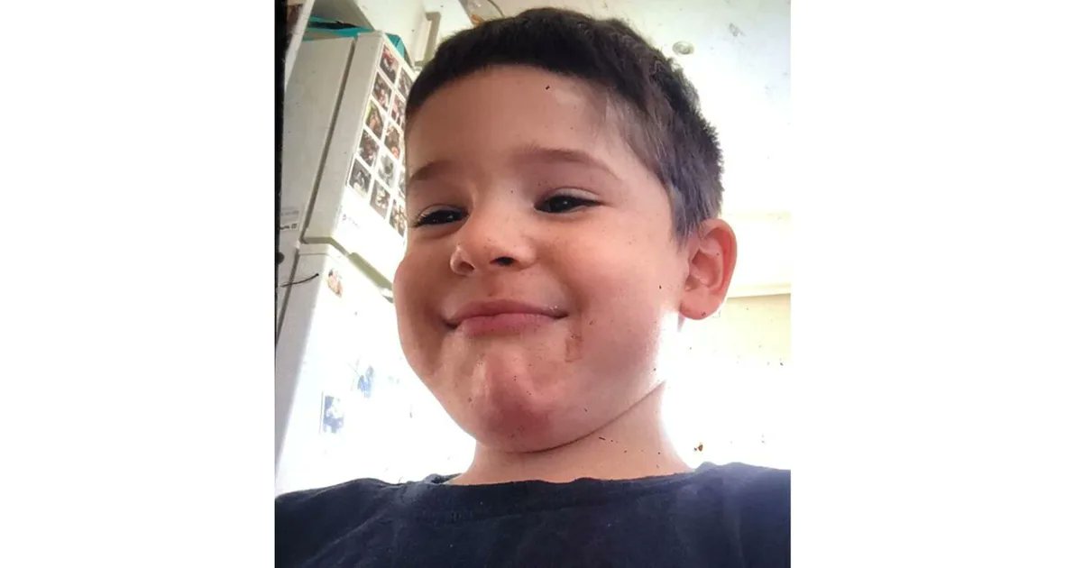 ClassicalHSJ's tweet card. An Aussie mum has shared the hilarious moment her son tricked her into thinking he was doing schoolwork.  Parent blogger Laura Mazza had left her boy, Luca, unsupervised to get on with home school...