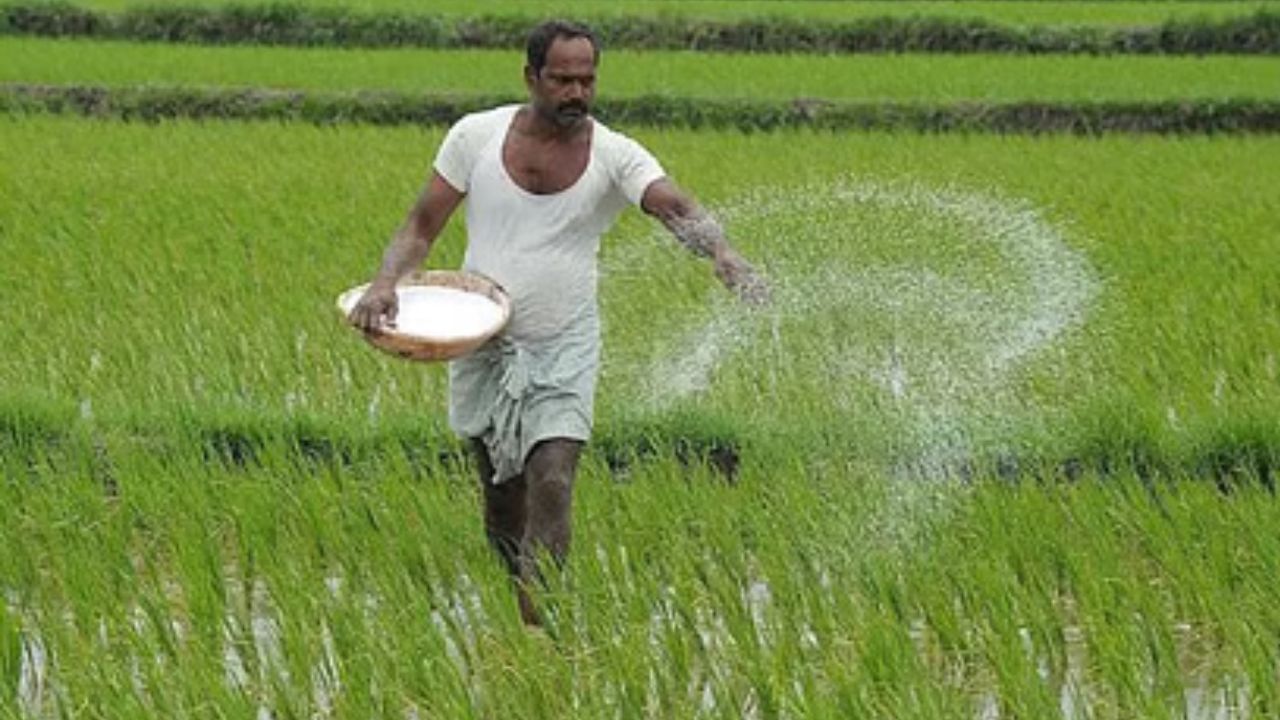 gaonjunctionofc's tweet card. सहकारी समितियों में इस समय एनपीके और डीएपी पर्याप्त मात्रा में उपलब्ध हैं। वहीं निजी विक्रेताओं के पास भी यूरिया का