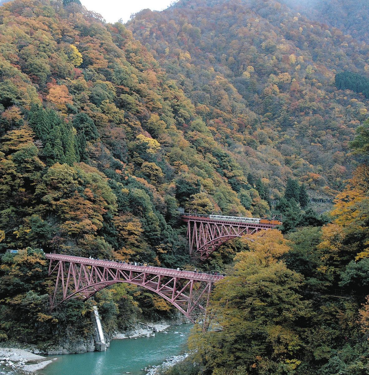 c_hocknews's tweet card. 黒部峡谷鉄道（黒部市）は大好きで何度も乗っているが、紅葉の中を走る光景を見たことがなかった。１５日に念願かなって、訪れることができた。...