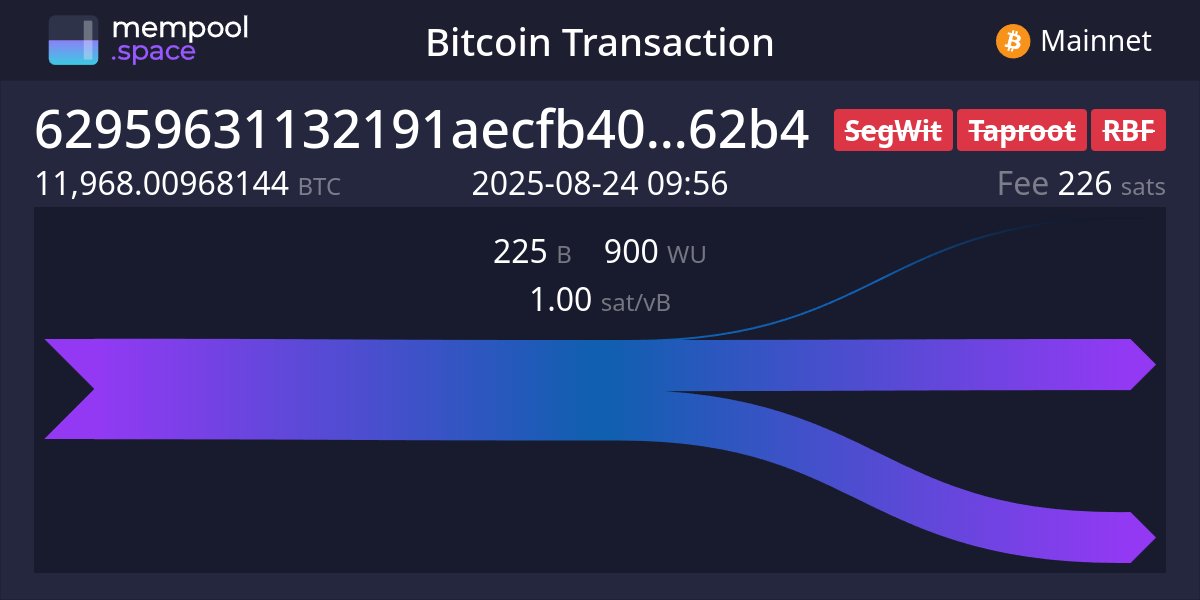 mlmabc's tweet card. Explore the full Bitcoin ecosystem with The Mempool Open Source Project®. See the real-time status of your transactions, get network info, and more.
