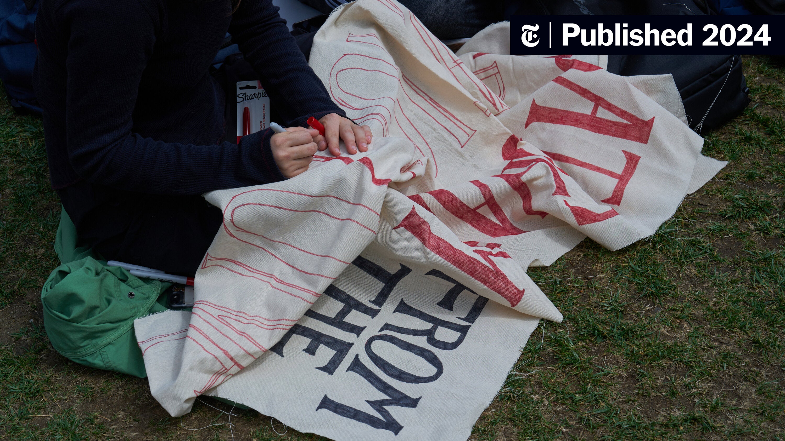 ItsAllGood_CP's tweet card. How Israel became the focus of so much of contemporary protest politics.