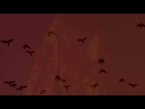 thewichitamusic's tweet card. Bipolar Feminin - süß lächelnd [official]