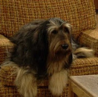 mrrobot1o1's tweet card. TryHackMe is a free online platform for learning cyber security, using hands-on exercises and labs, all through your browser!