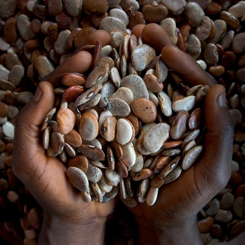 sf_essentials's tweet card. Food Safety: Why it matters