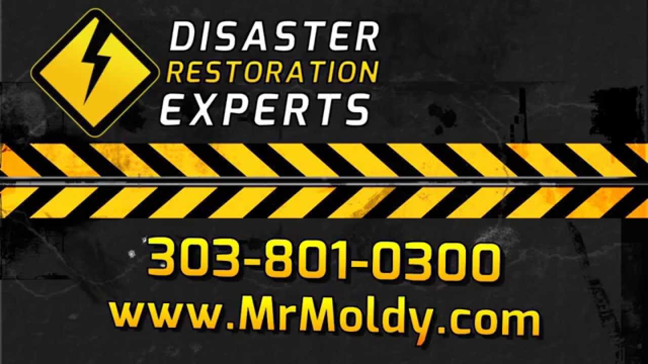 WaterDamage5280's tweet card. Colorado Disaster Restoration | Mold Remediation | Water Damage |...