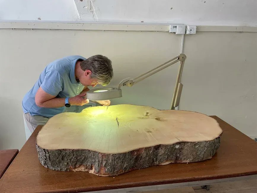 edwardsdna's tweet card. A new analysis shows that the historic tree was at least 100 to 120 years old in September 2023, when two men illegally chopped it down