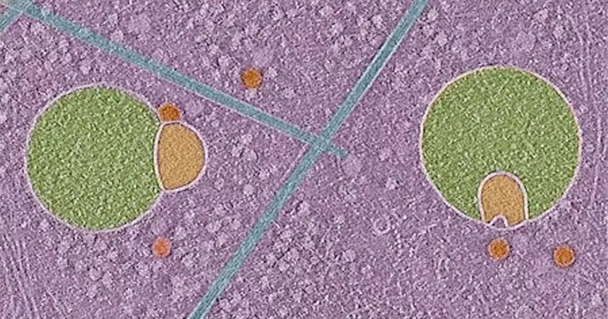 techknowlogicin's tweet card. techknowlogic provides the latest scientific breakthroughs and news through its articles, encouraging readers to share their knowledge.