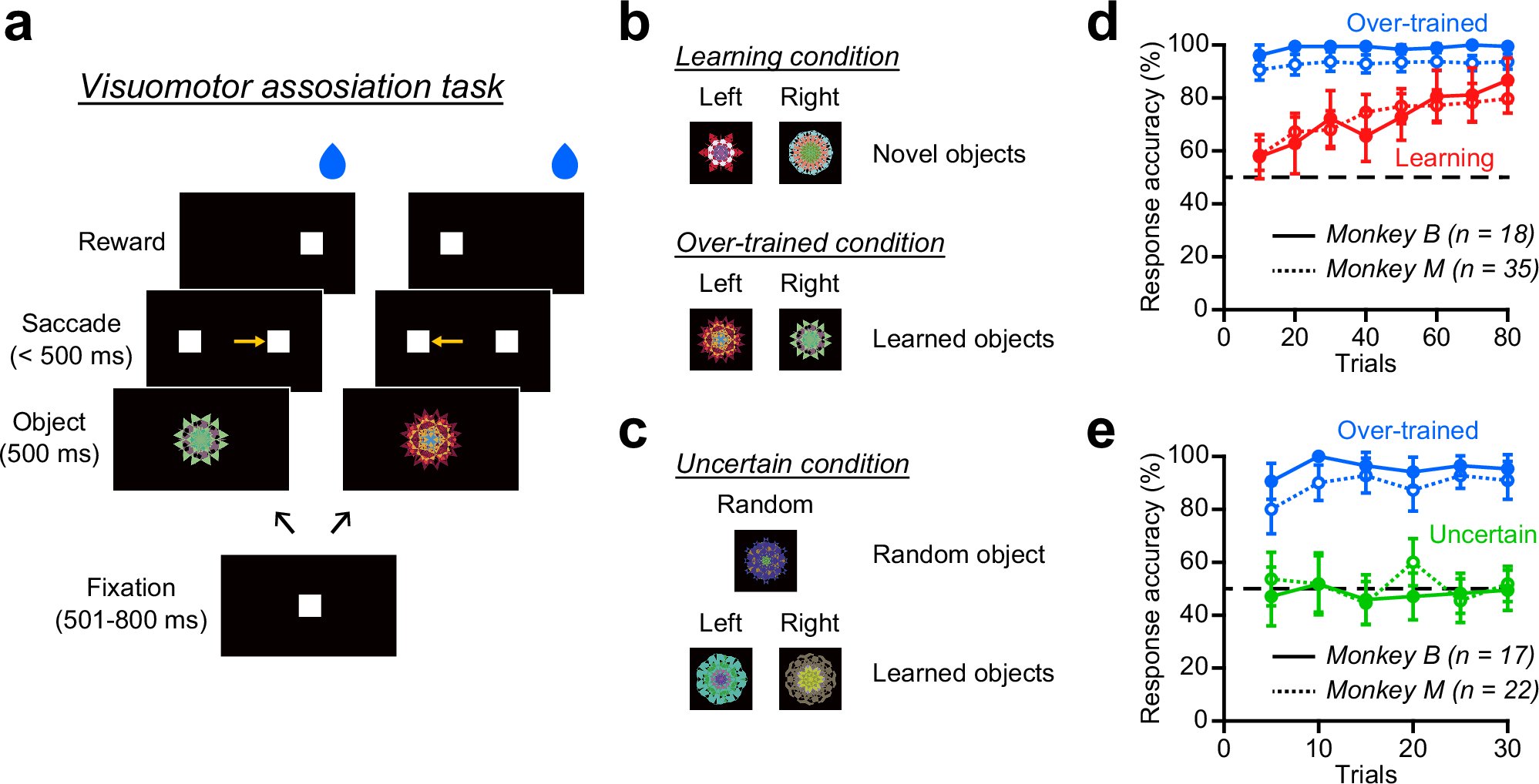 LabTakei's tweet card. Communications Biology - Sustained visual signals in the cerebellar dentate nucleus, enhanced by learning-related motivation, facilitate visual discrimination and contribute to visuomotor...