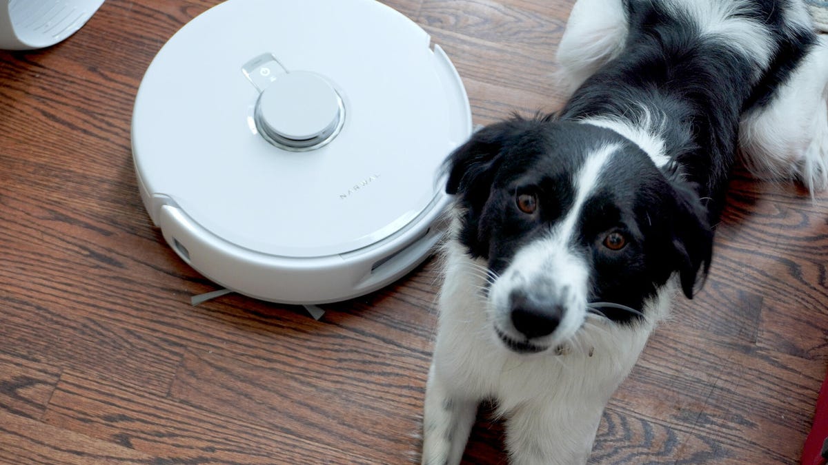 HyperMindAI's tweet card. I tested the best robot vacuums for pet hair from brands like iRobot and Roborock to effortlessly keep your floors clean without a fuss.