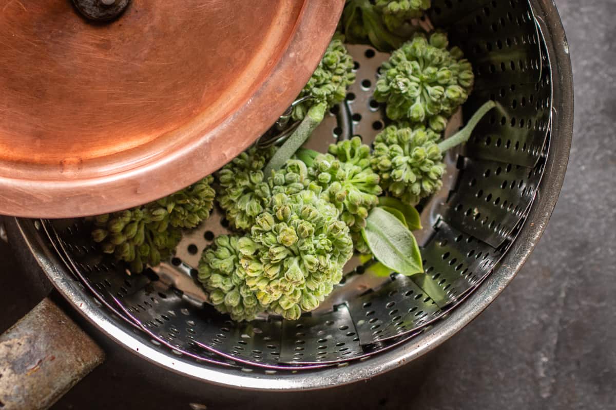 AlanBergo's tweet card. Steaming milkweed flower buds is my favorite way to enjoy the unopened flowers of the plant, but there's a few things to know about cooking them, the most important is that........