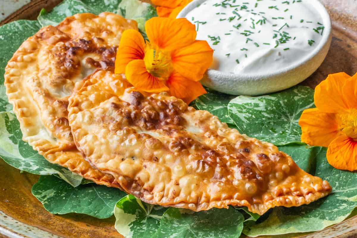 AlanBergo's tweet card. Fried Crimean-inspired pastries with a filling made from wild mushrooms like wild honey mushrooms, hen of the woods and green russulas.