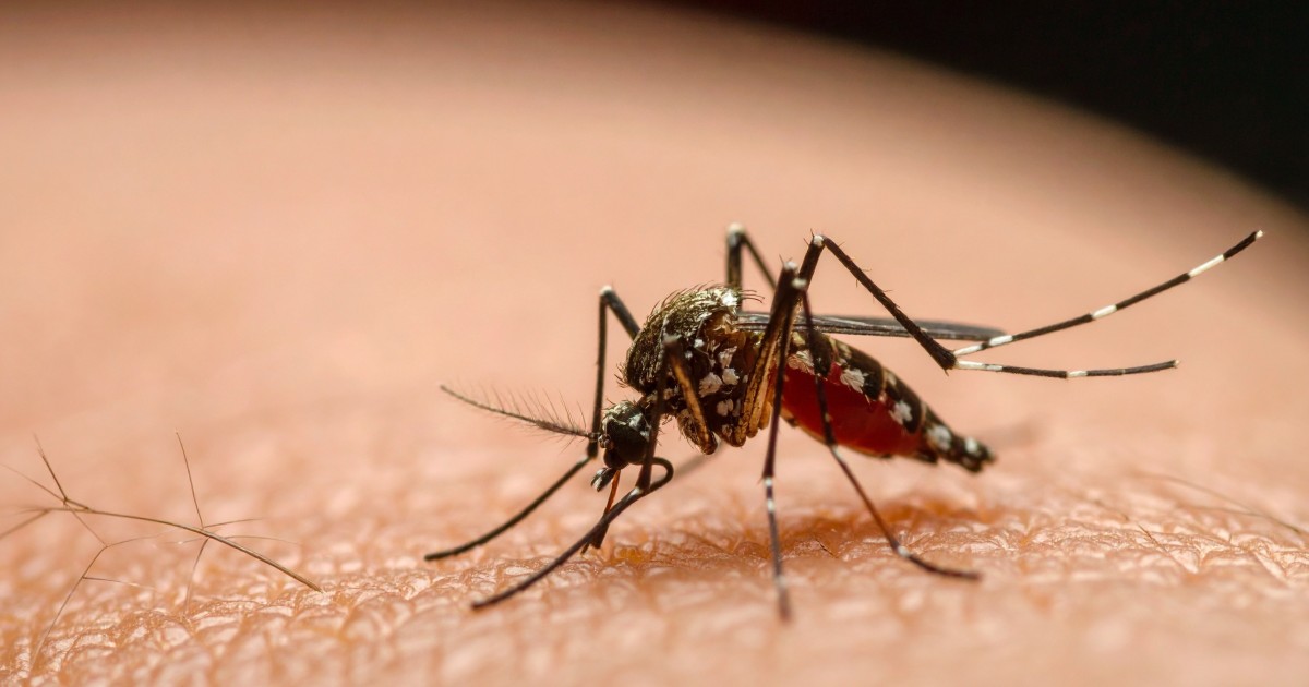 RisaPesapane's tweet card. COLUMBUS, Ohio — Lyme disease is on the rise, invasive ticks are spreading and Ohio leads the nation in La Crosse virus cases caused by infected mosquitos. To help protect people and livestock,...