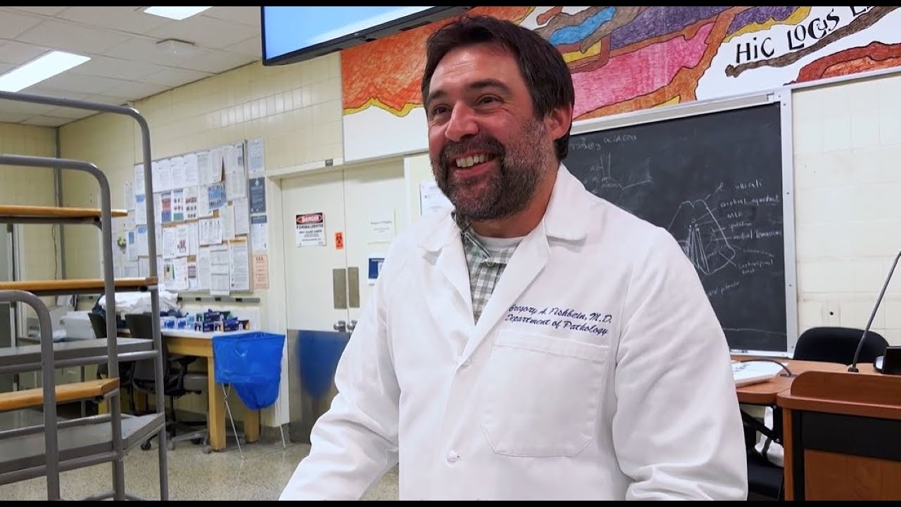 UCLA_Pathology's tweet card. UCLA Pathology & Laboratory Medicine Residency Program