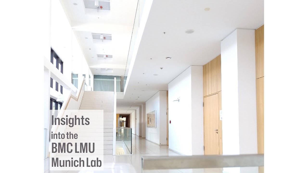 LabStricker's tweet card. BMC Insights: How can CRISPR help treat brain disorders?