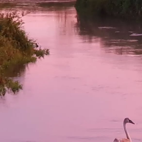 BVLG's tweet card. Bruno Peeters (@bvlg) • Instagram photo