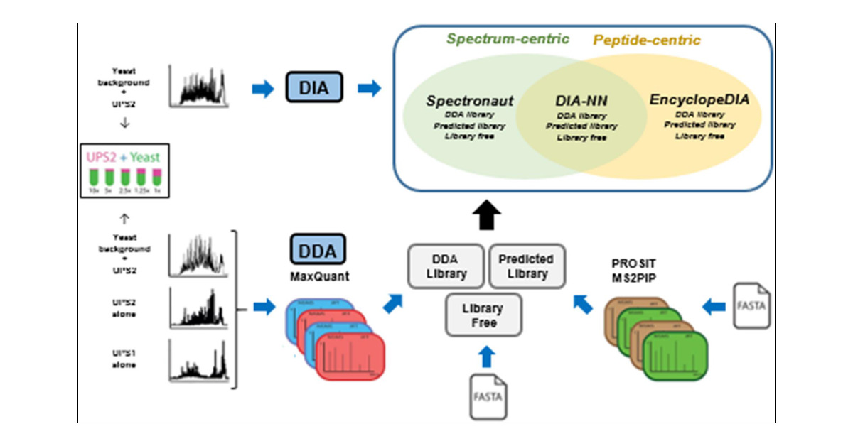 AnStaes's tweet card. Data-independent acquisition (DIA) has become a well-established method for MS-based proteomics. However, the list of options to analyze this type of data is quite extensive, and the use of spectral...