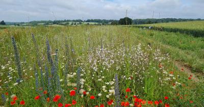 Tweet card summary image