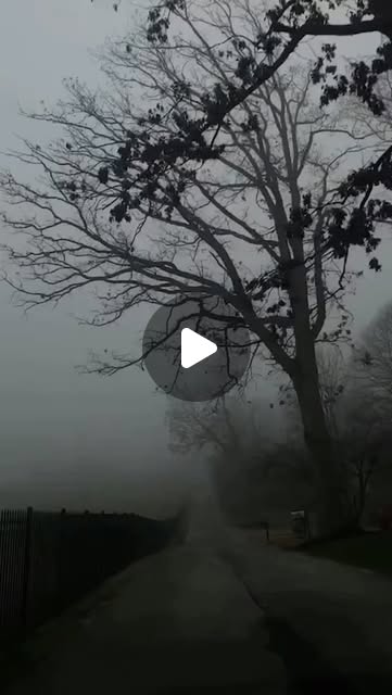 supermarcis's tweet card. YGNACIO OVALLE (@kabanfeliz) • Instagram reel