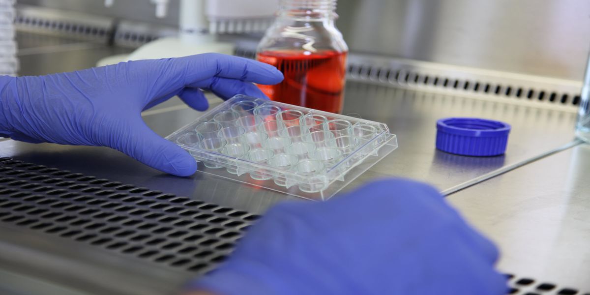 saihtec's tweet card. 3D cell cultures better mimic in vivo physiology and are now easier to perform than ever before