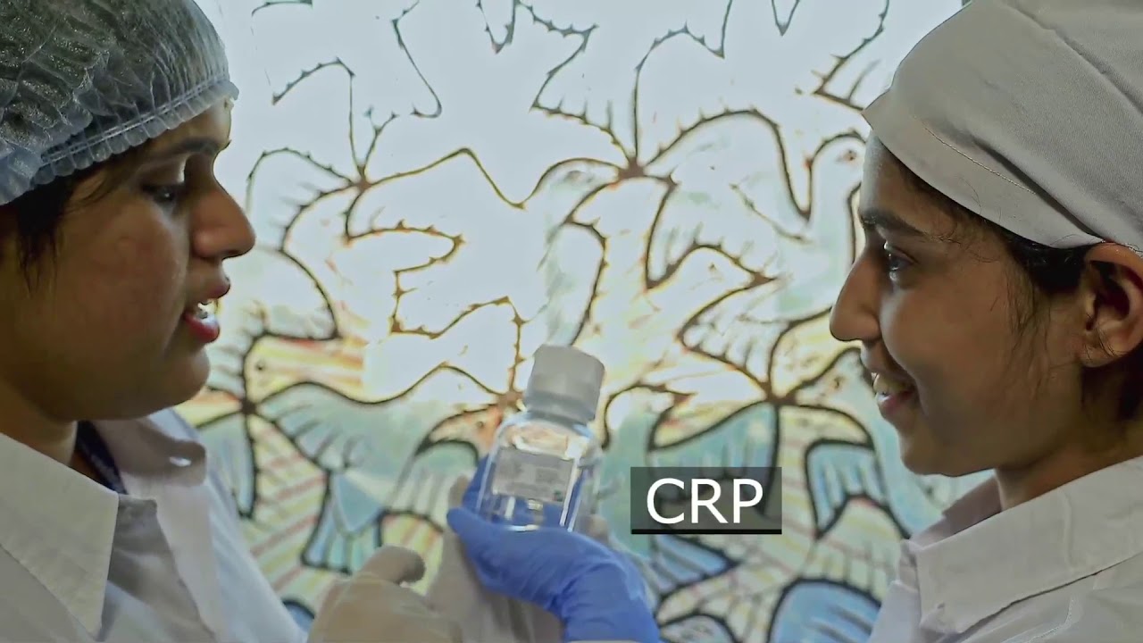 YashrajBio's tweet card. Yashraj Biotechnology Ltd.- An Overview