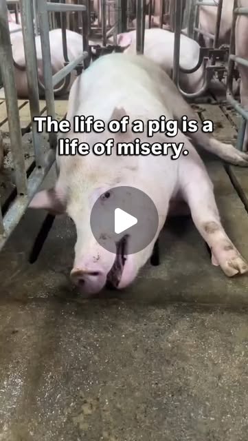 RavenTW's tweet card. NothingIsArt (@nothingisart1) • Instagram reel