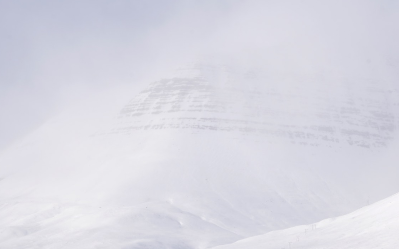 Dinosn's tweet card. Writeups