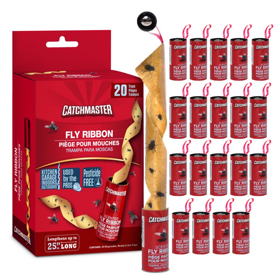 Catchmaster's tweet card. Trap flies effortlessly with Catchmaster's Scented Bug & Fly Ribbon. Safe, non-toxic, and perfect for both indoor and outdoor use. Get fly-free today!