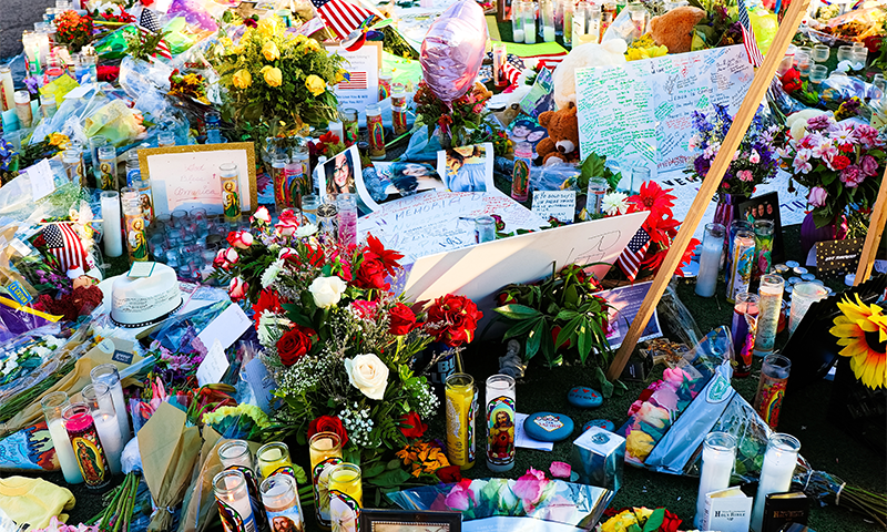 NautilusMag's tweet card. One question for Maurizio Porfiri and Rayan Succar, dynamical systems engineers at New York University.