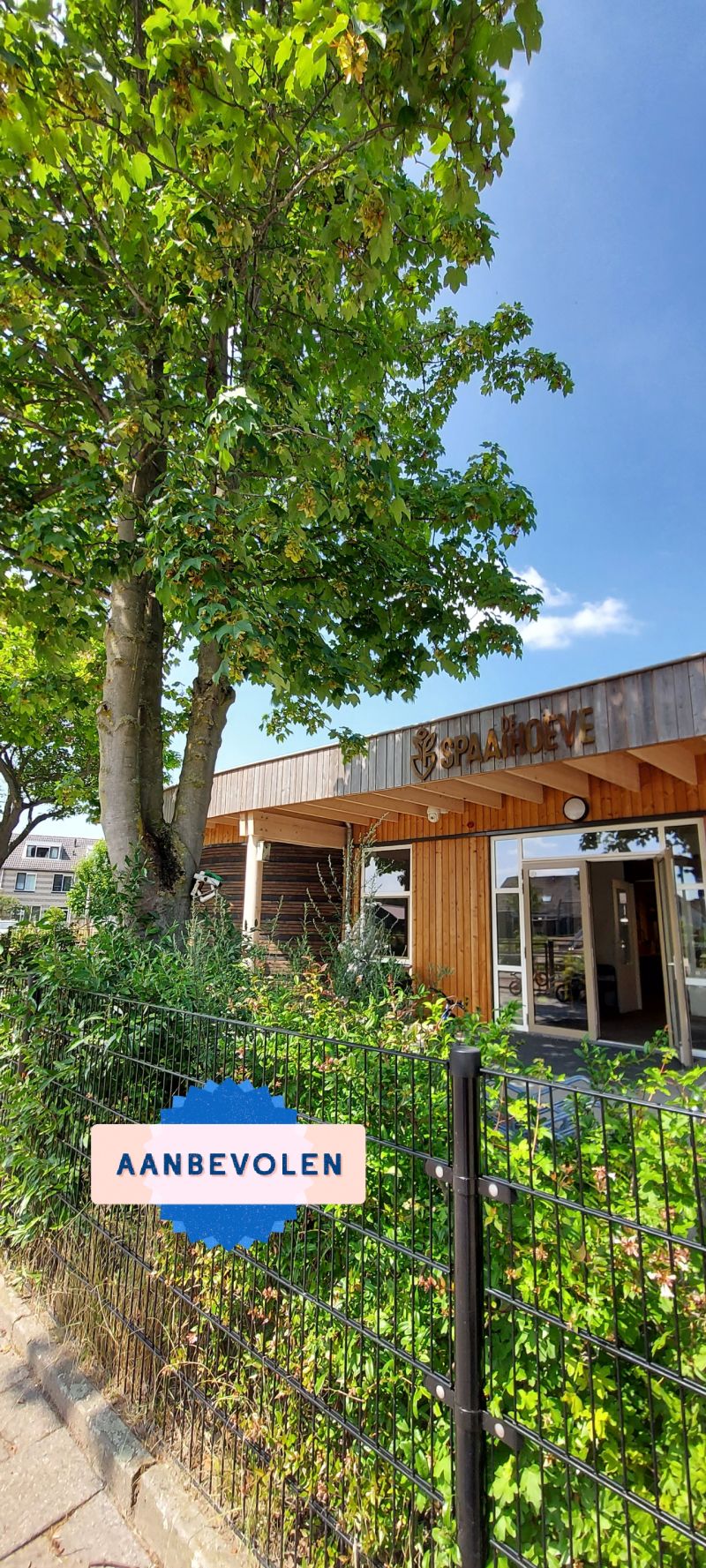 dansplaneet's tweet card. Wat een feest! Juf Kim mocht vandaag dansworkshops geven op Jenaplanschool De Spaaihoeve. 5 stamgroepen uit cluster 1/2 hebben gedanst, gezongen en gespeeld over 'Bas Ballon' en 'Bon Ballon'. Als...