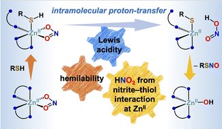 SKLab_IISERTvm's tweet card. Generation of S-nitrosothiol (RSNO) and nitric oxide (NO) mediated by zinc(ii) coordination motifs is of prime importance for understanding the role of zinc(ii)-based cofactors in redox-signalling...