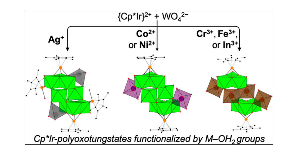 INPOMs_JSPS's tweet card. Organometallic–polyoxometalate (POM) complexes form a unique class of molecular organometallic oxides characterized by the dynamic behavior of the organometallic cations. Herein, we investigated the...