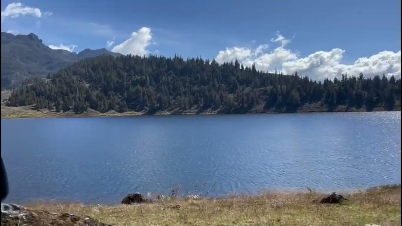 sysychv's tweet card. Break2