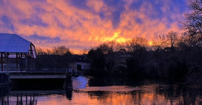 Tweet card summary image