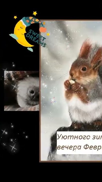 Dtkjcbgtl's tweet card. ВЕЧЕРОЧКА ДОБРОГО !!! ... #доброговечера