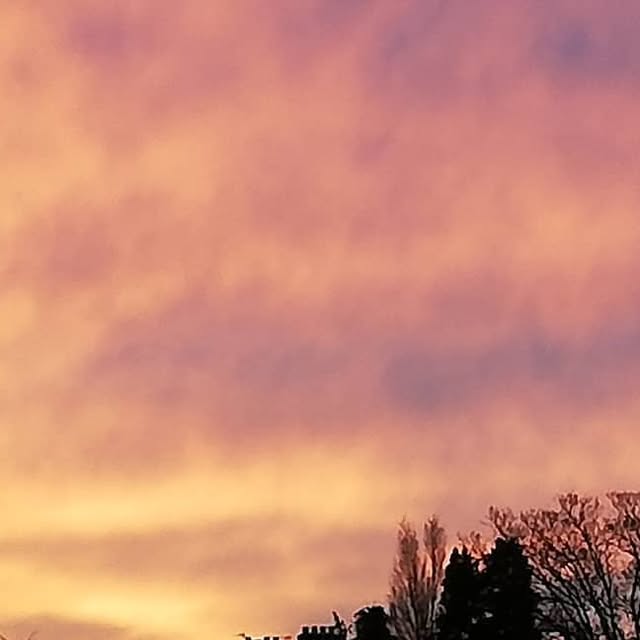 ClubChi1's tweet card. Club Chi (@club_chi_experience) • Instagram photos and videos