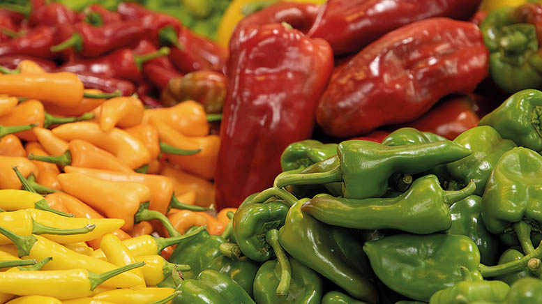 CoopsAgroAND's tweet card. AGROANÁLISIS / La campaña hortícola almeriense se presenta con datos de superficie y producción similares a años anteriores, aunque con leves ajustes