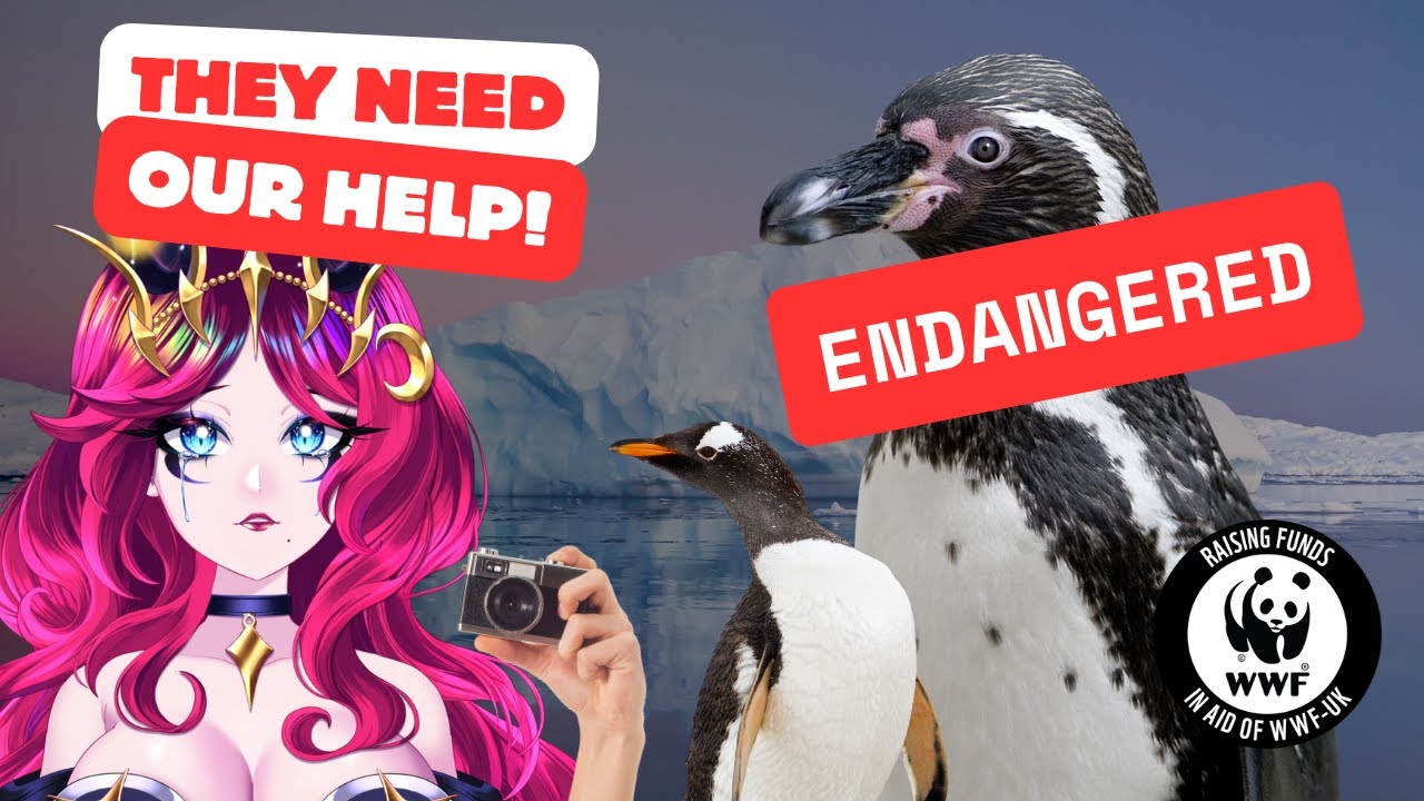 DysprosiieVT's tweet card. I Met Endangered Animals at London Zoo 🐼❤️