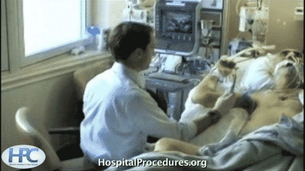 ProcedureDocs's tweet card. Learn about the safety of vasopressor administration through peripheral intravenous administration, its risk factors, and more!