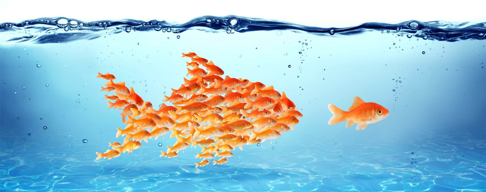 ISPIRA_sas's tweet card. Offre de stage dans la qualité de l'air. Ils peuvent être effectués dans l’une ou l’autre des agences ISPIRA, à Clichy ou Aix-en-Provence