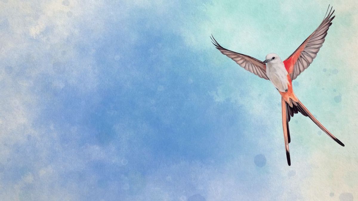 pcgamer's tweet card. Wingspan's digital release soars over the competition.