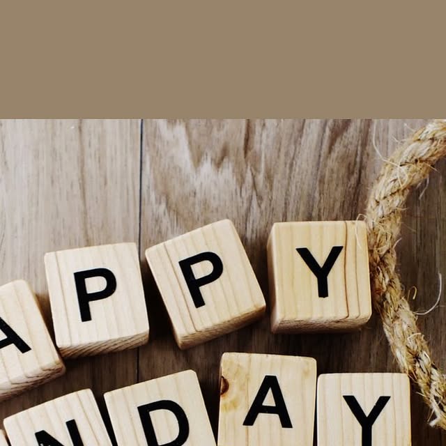 soap_junkii's tweet card. Soap Junkii Bath + Body (@soapjunkii) • Instagram photo