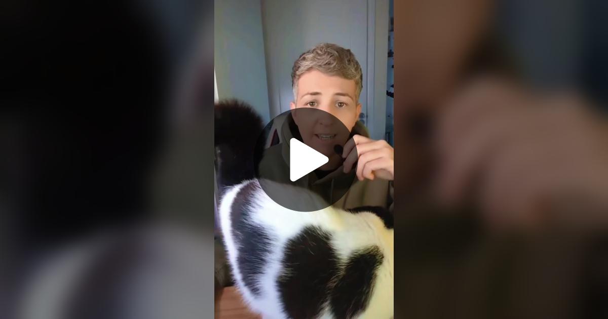 Dreamer_0zzz's tweet card. Check out Amy | LEAVE ME ALONE PODCAST’s video.