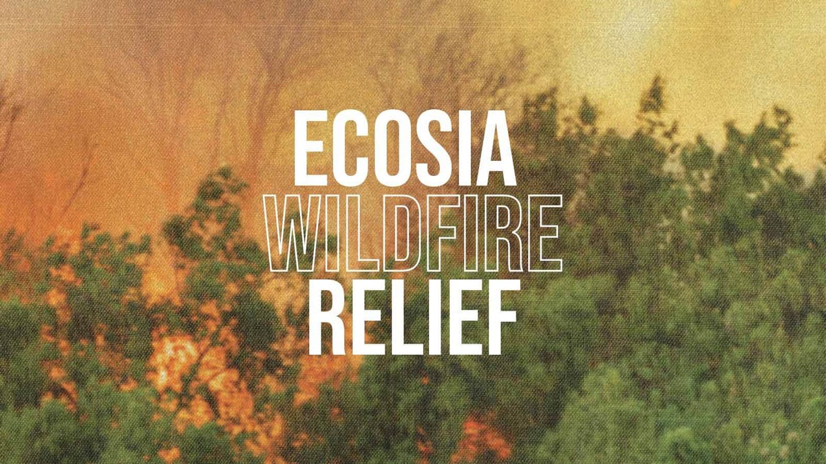ecosia's tweet card. We’ll use 100% of our profits to fund firefighters in Brazil and plant trees in the US and Australia.
